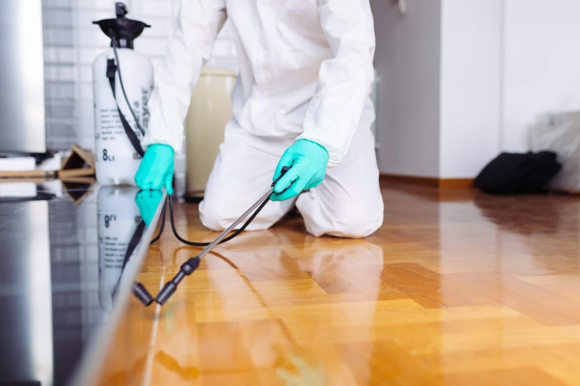 Pest Control 3