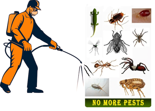 Pest Control 1